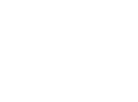 amorbike